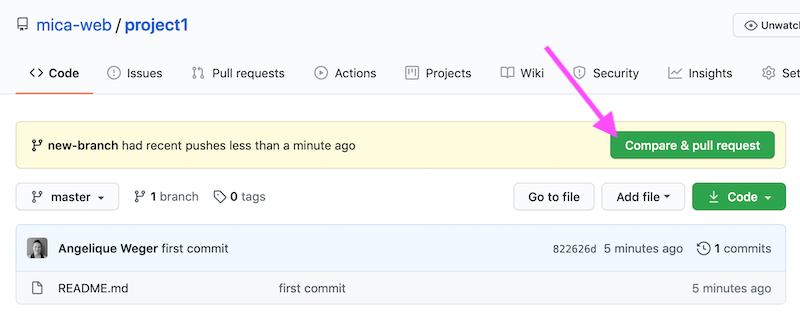 Screenshot of repo homepage and the new button that says Compare & Pull Request.